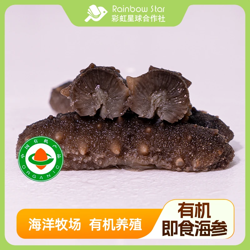 彩虹星球｜有机即食海参500g营养冷冻海参真空包装