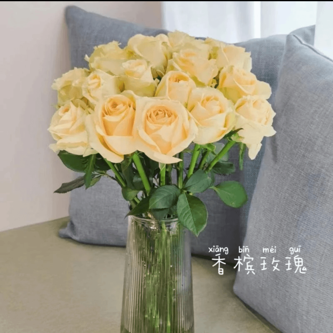 香槟玫瑰基地现采现发（全场任意一单中通两单顺丰）