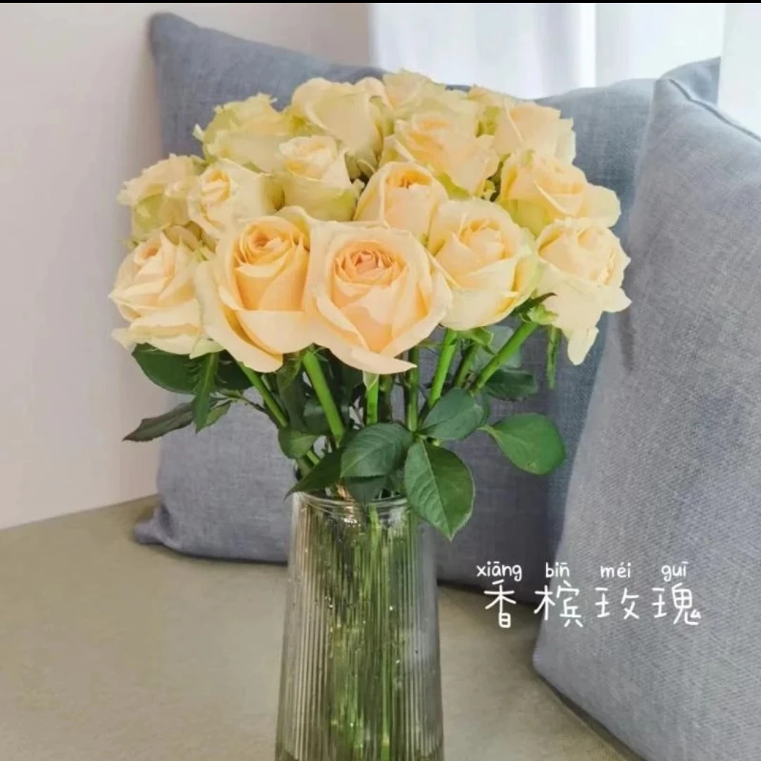 香槟玫瑰基地现采现发