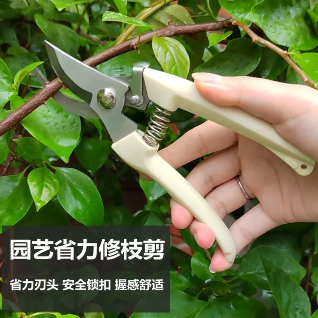 园艺剪打刺宝鲜花工具