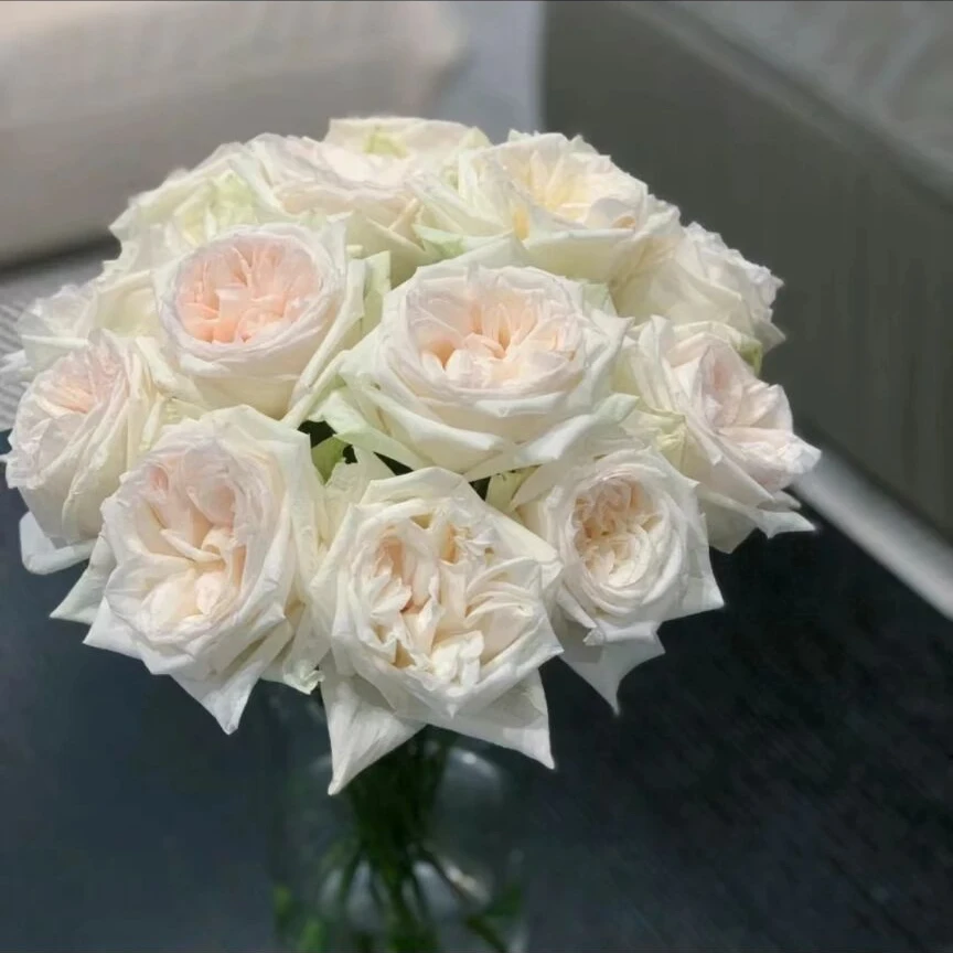 白荔枝玫瑰现采现发（两单包邮退运费一单不退）