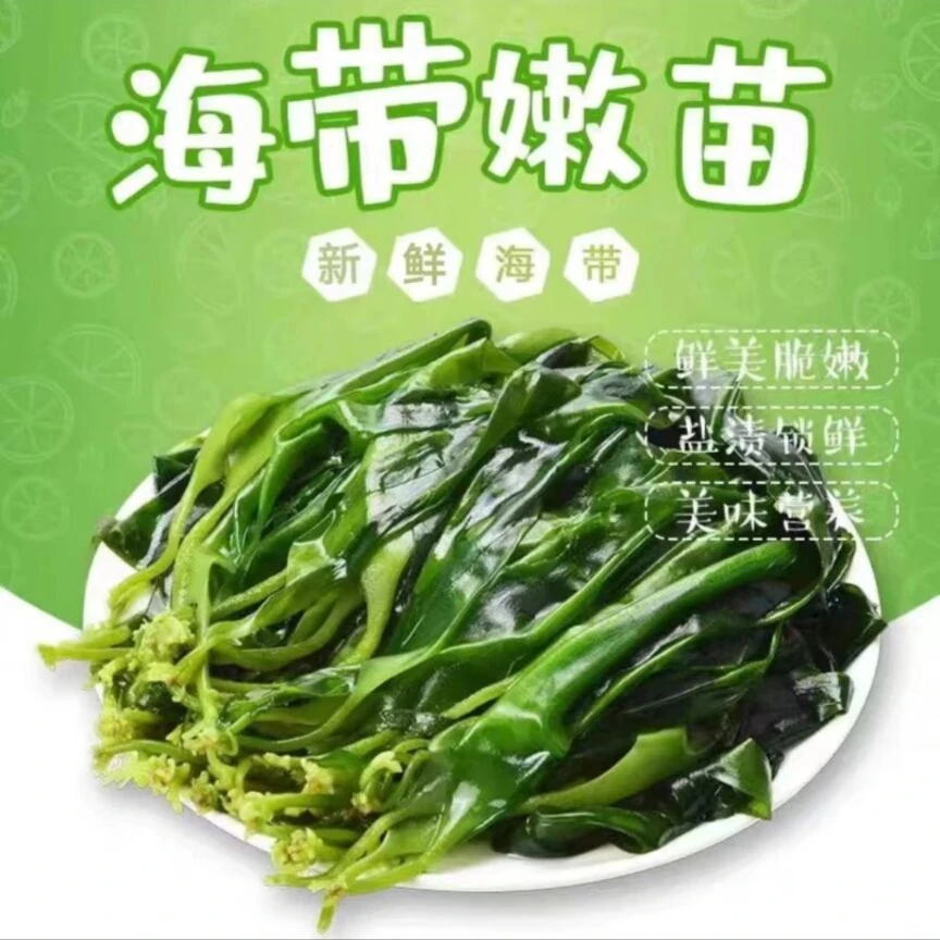 【小芳专属】海带嫩苗小海带芽 鲜嫩脆爽200g/包 到手五包