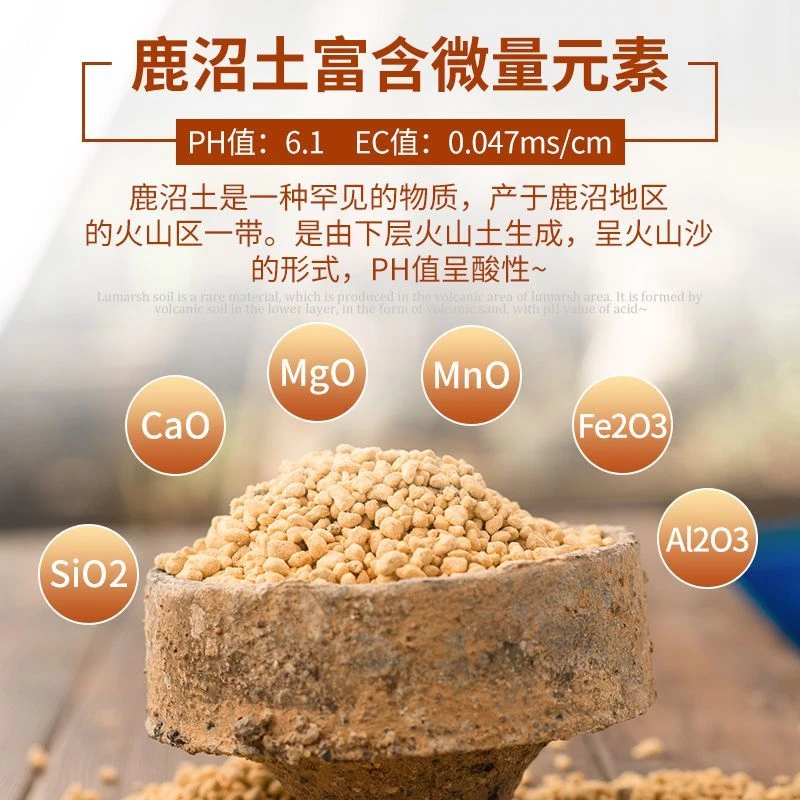进口园艺硬质鹿沼土多肉盆景兰花杜鹃酸性颗粒土拌土垫底铺面优质