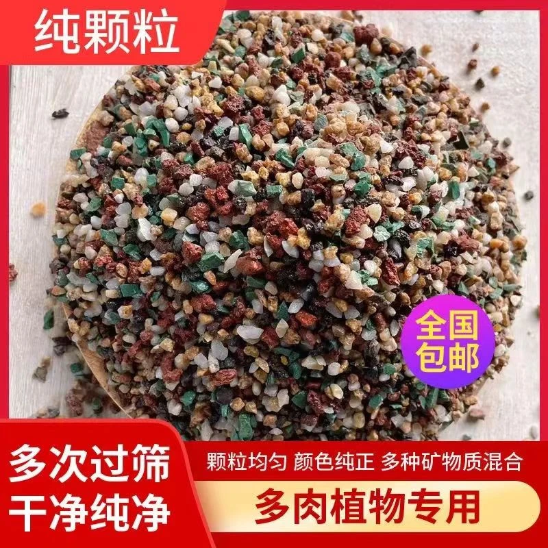 【纯颗粒】优质多肉纯颗粒多肉植物控型上色铺面拌土无菌鱼缸造景