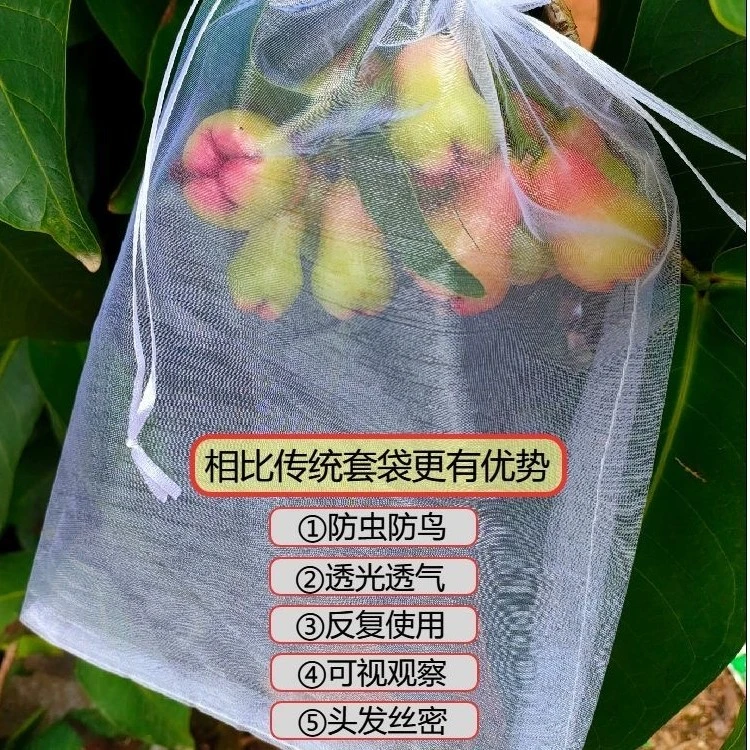 水果套袋防鸟防虫专用网袋保护袋子透光通用透气环保蔬菜防虫网