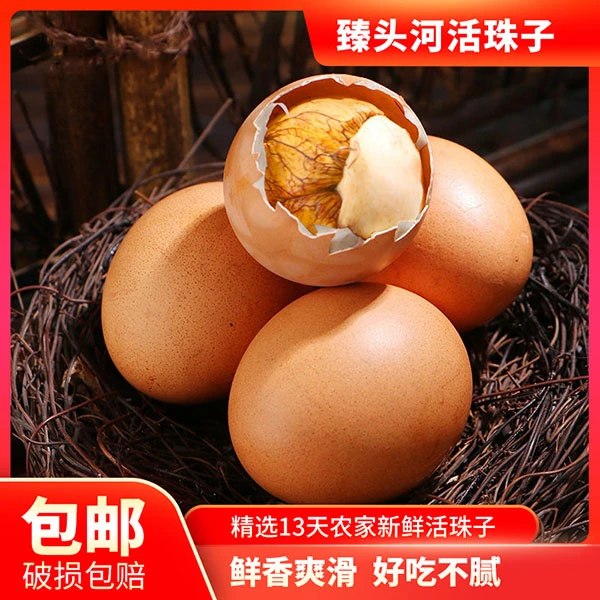 臻头河【新粉亏米】13天新鲜营养活珠子鸡胚蛋毛蛋钢化蛋五香味即食