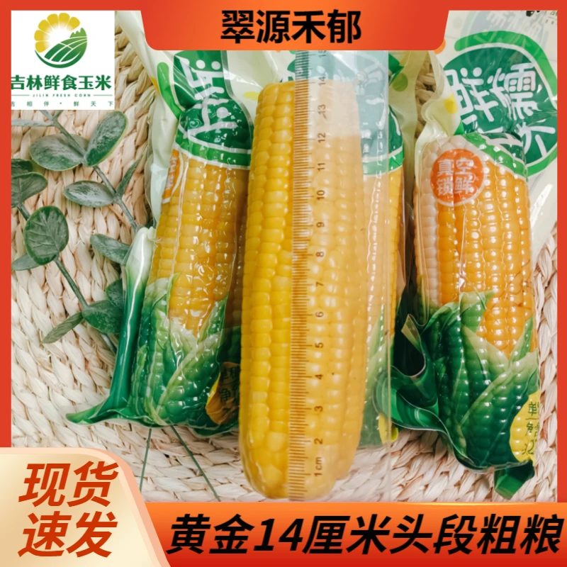 东北黄金14厘米头段粗粮黄玉米12棒整箱2500克