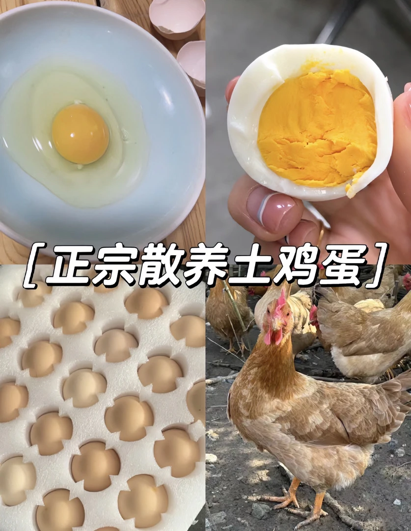 湖南正宗新鲜百家土鸡蛋50枚（破蛋、不新鲜包赔）