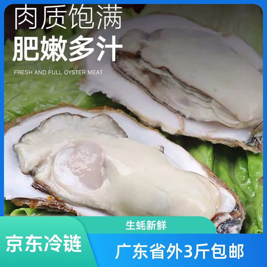 广东本地生蚝，白蚝，蚝肉，牡蛎，三倍体，特大蚝一斤纯肉