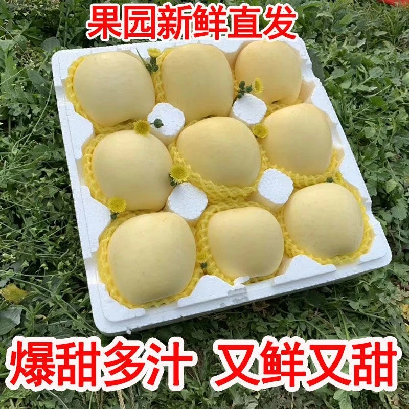 【现摘新果】正宗烟台奶油富士栖霞高山冰糖心苹果新鲜水果2025