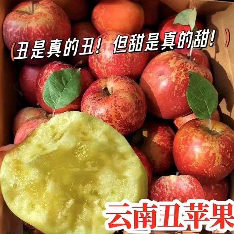 【现摘现发】【买三斤送两斤】云南昭通冰糖心丑苹果当季水果脆甜  CY