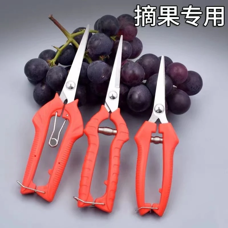 家用果树剪刀修枝神器剪花卉摘果剪树枝剪刀葡萄修花园林园林剪刀