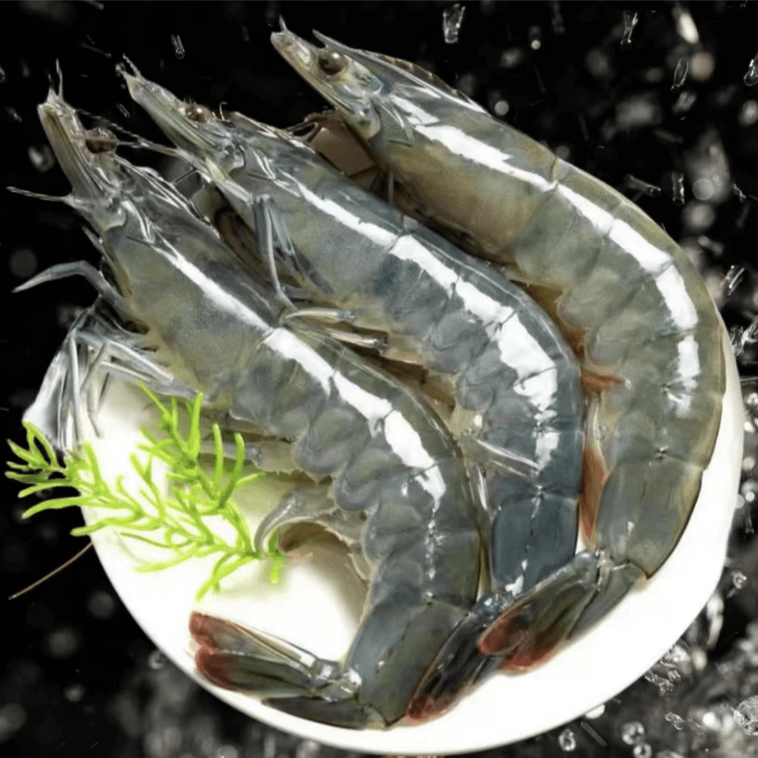 新鲜海捕海洋大号盐冻大虾  活虾速冻肉质紧实Q弹顺丰冷链包邮