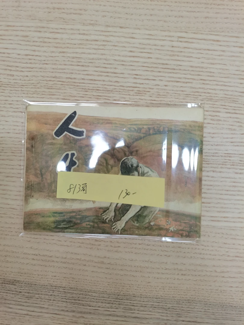 813老师图书合集1册