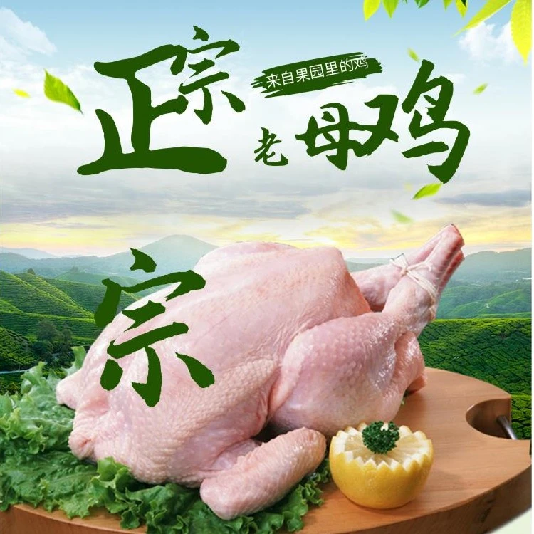 正宗农家老母鸡黄油蛋籽（2-2.3斤）现杀滋补农家公鸡散养肉质新鲜