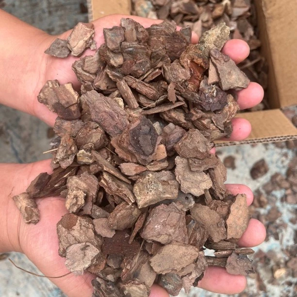 兰花专用树皮《强力生根》用于（君子兰 墨兰 剑兰 大花卉兰）