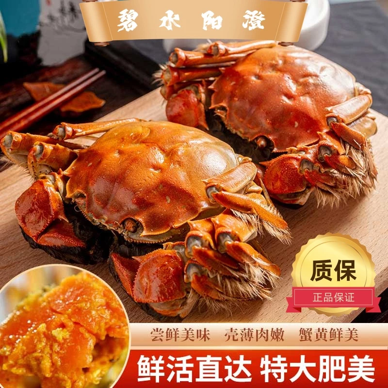 【活蟹】碧水阳澄精品蟹【公3.0-2.7两母2.0-1.7两】8只精品礼盒装