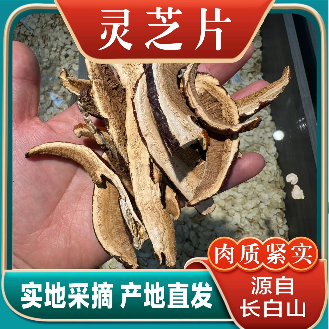 灵芝片 长白山赤灵芝切片 泡茶 泡酒 煲汤