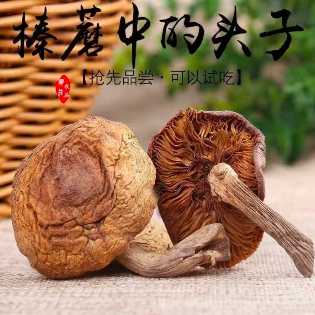 G长白山 深山采摘 无硫无磺 自然晾晒 榛蘑 干货