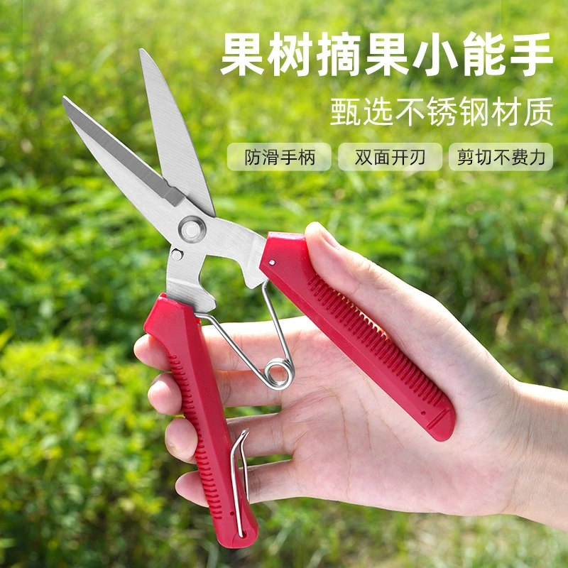 摘果剪修枝剪园林稀果摘果剪葡萄修枝砂糖橘专用蔬果采摘丰收季