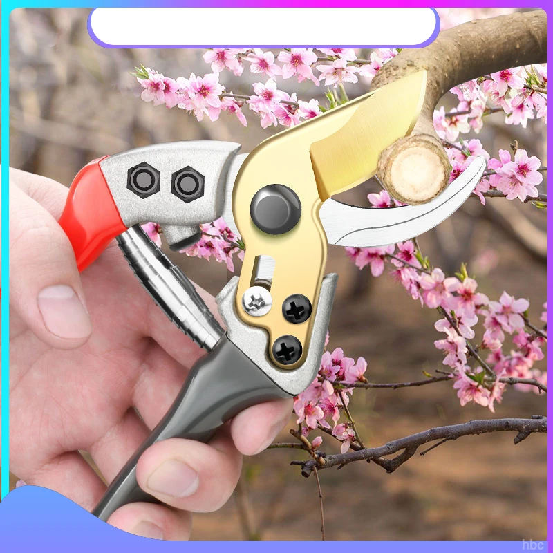 修枝剪刀枝专业修枝剪锋利剪开刃粗省力园艺耐磨剪切园林剪刀果树