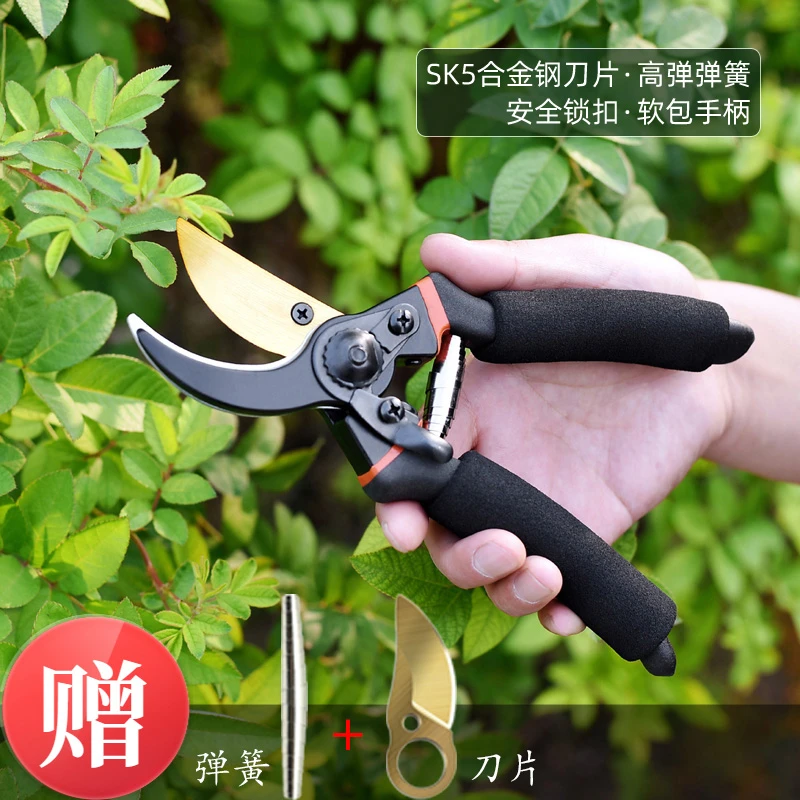 园艺剪刀粗枝剪修剪果树修枝剪花艺摘果剪园林绿化树枝剪农用工具