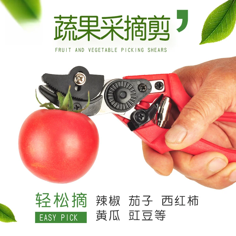 多功能粗枝剪摘果剪刀蔬果采摘剪摘茄子剪断不掉园艺农用采摘工具