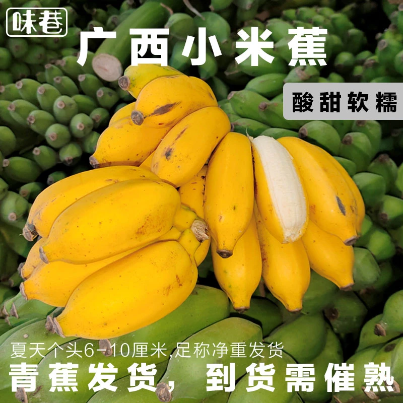 广西小米蕉净重新鲜1/5/9斤自然熟天然香蕉小芭蕉饱满