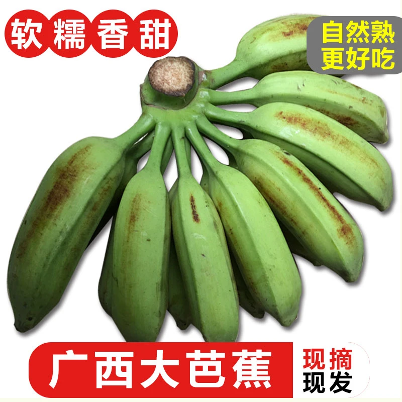 广西大芭蕉新鲜牛角蕉天然香蕉9斤现砍酸甜牛角蕉5斤芭蕉大蕉