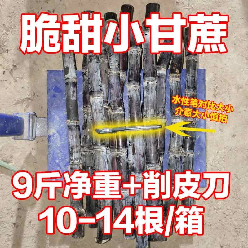 味巷脆甜小甘蔗 9斤净重 10-14根/箱
