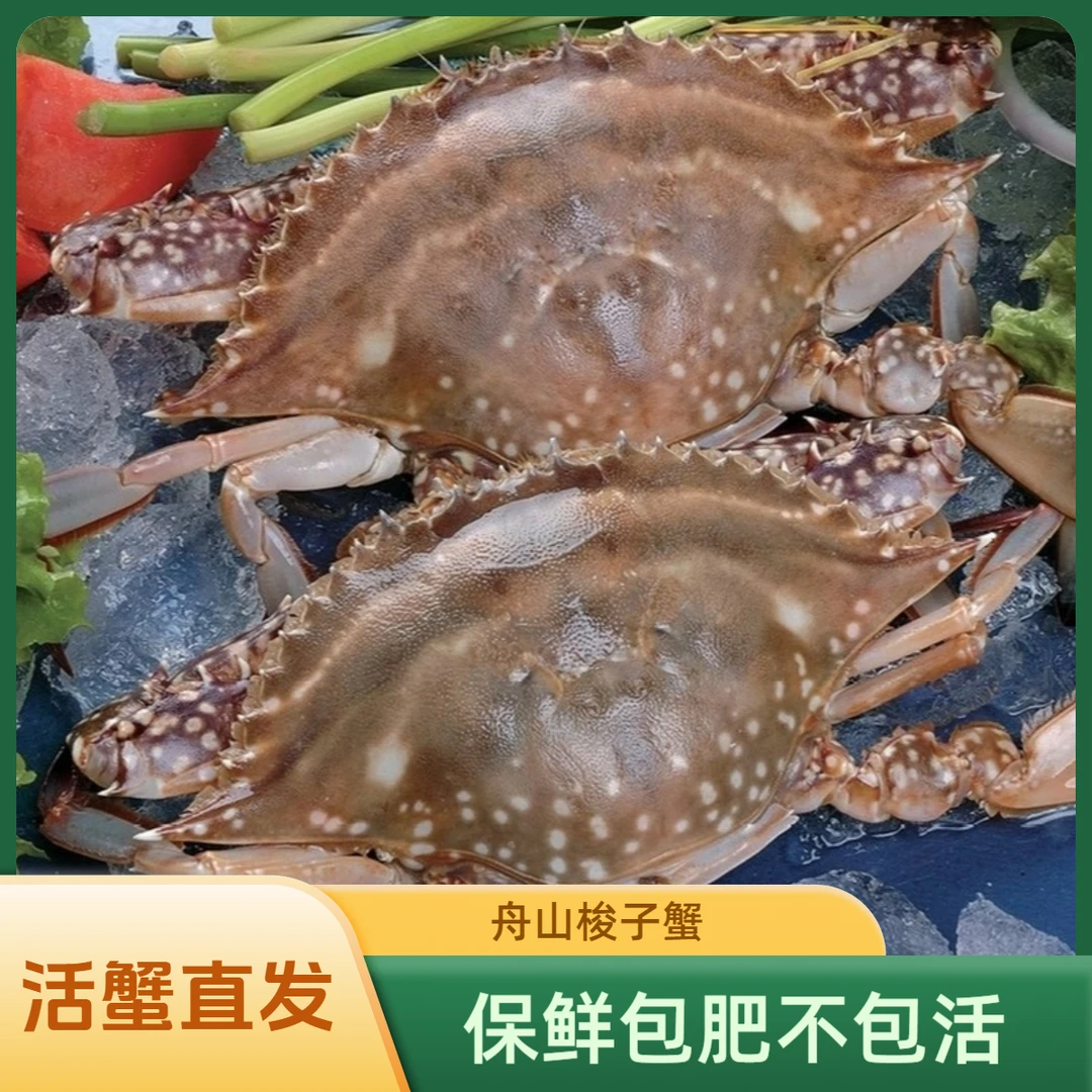 【保鲜不保活】中号梭子蟹 3斤 3两左右/只 海捕新鲜 顺丰发货