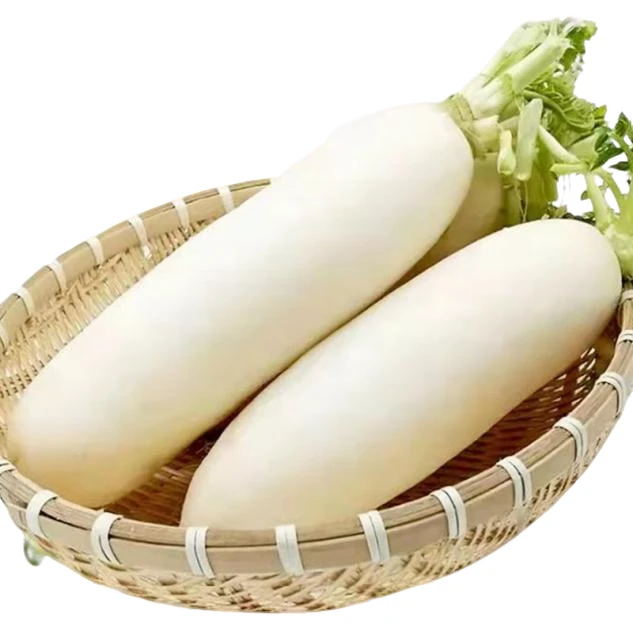 新鲜白萝卜白皮长型萝卜腌泡菜白玉青绿萝卜白萝卜