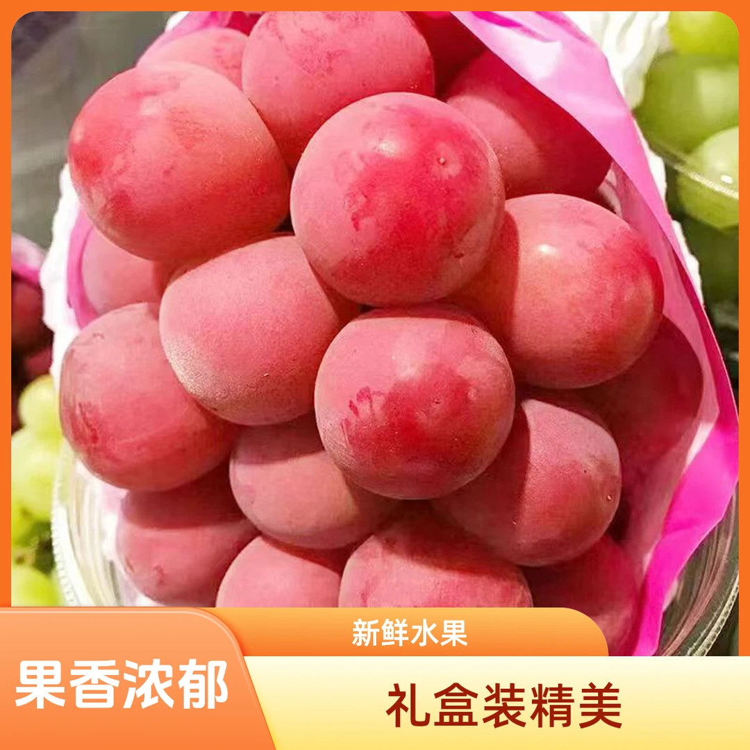 正宗妮娜皇后新鲜水果无籽葡萄饱满甜蜜皮薄多汁果香顺丰产地直发