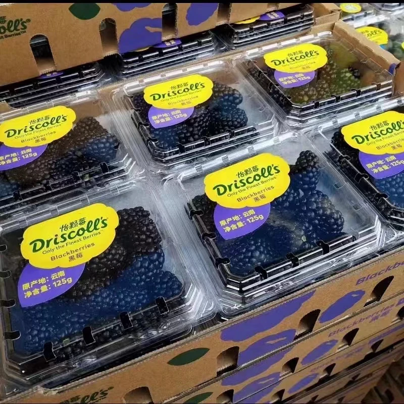 Driscoll's/怡颗莓黑莓125g*3盒