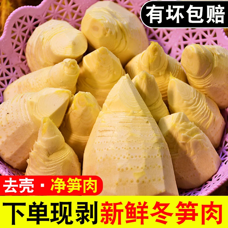 去壳冬笋肉新鲜现挖现发毛竹笋鲜嫩野生黄泥笋楠竹笋现货1/2/3斤