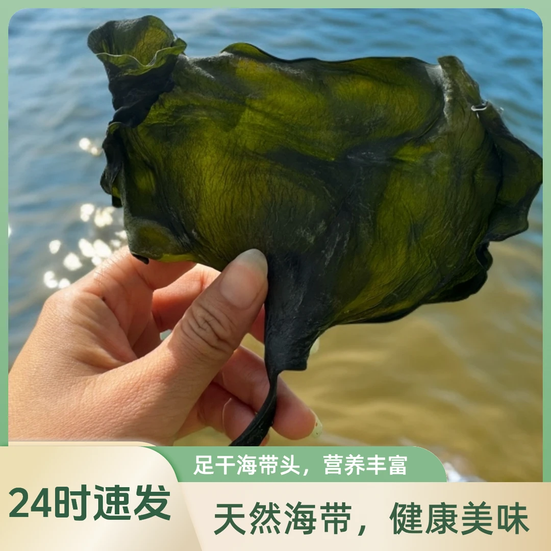 胜纪渔无盐无沙淡干海带头 精选优质海带营养散装鲜嫩全干厚实