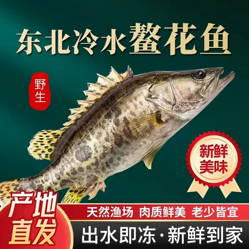 东北冷水冷冻鳌花鱼2--3斤
