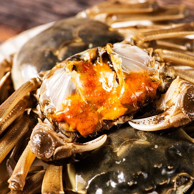 冷冻醉河蟹全母 个个带膏饱满 宁波特产即食酱螃蟹 720g/约4只