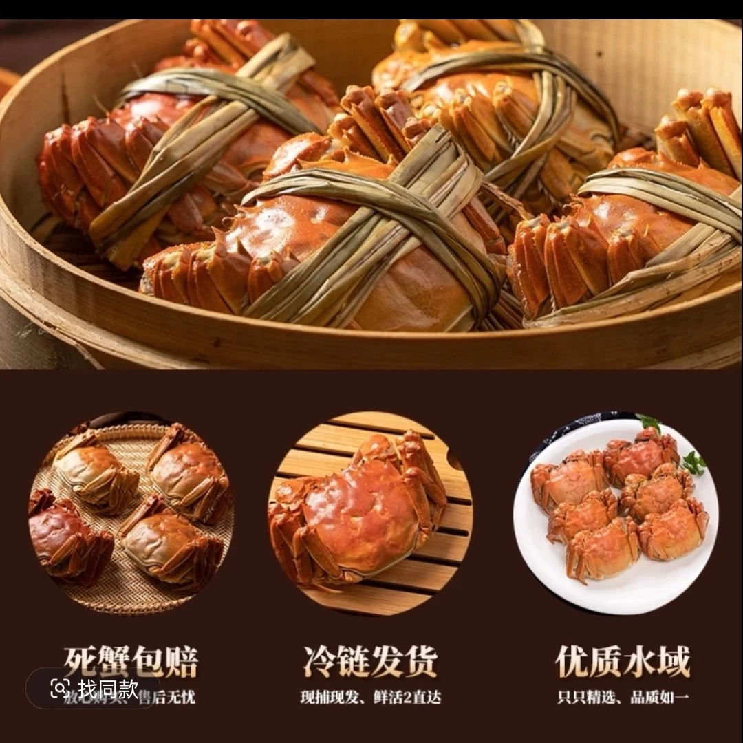 江苏河蟹公蟹10只  单只2.5两一只