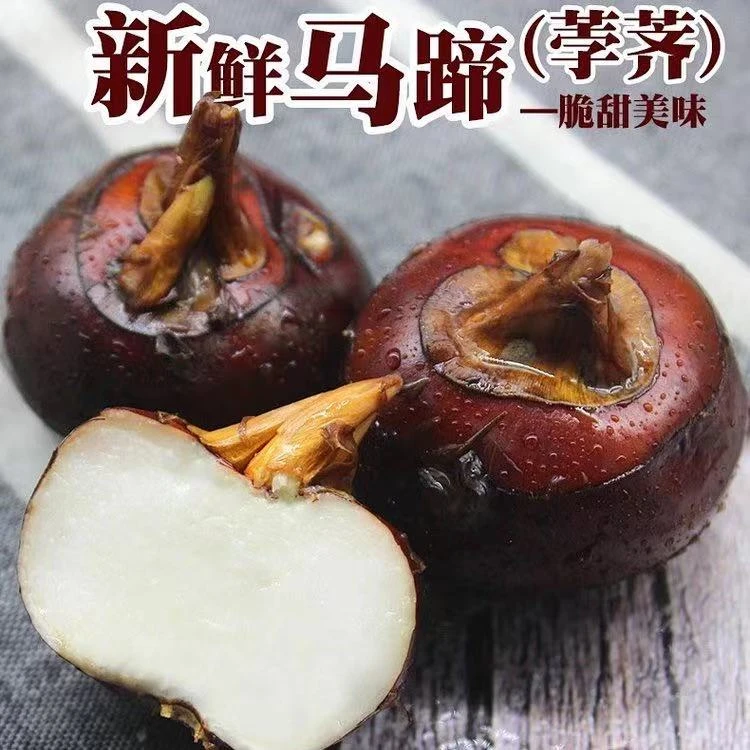 广水关庙马蹄新鲜茡荠脆甜中大果湖北随州现挖马蹄带泥地梨普及
