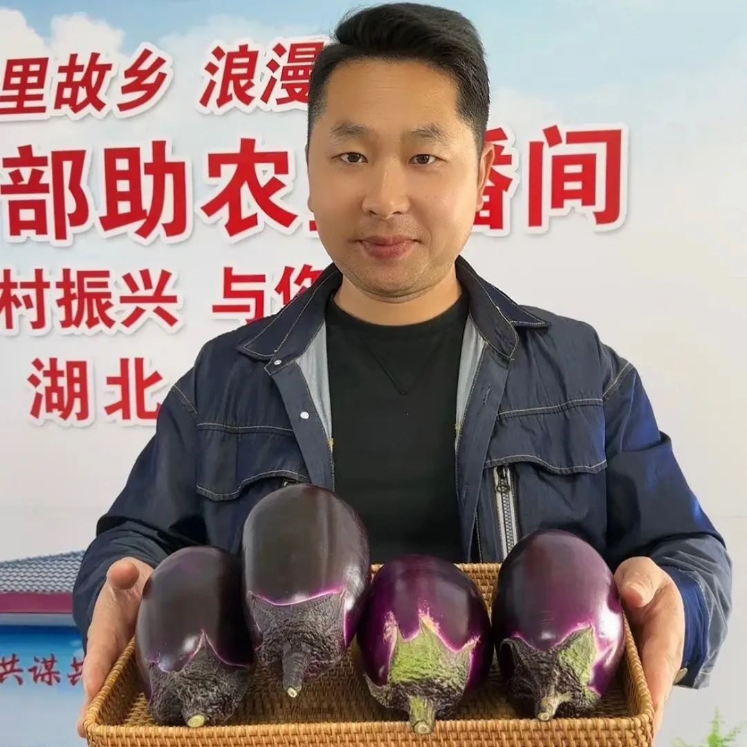 广水十里双塘村紫茄子肉嫩味甜3斤5斤包邮