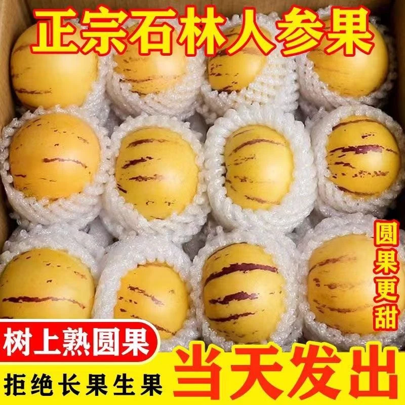 人参果新鲜云南石林人叁果圆果人生果娃娃果七彩黄肉水果整箱包邮