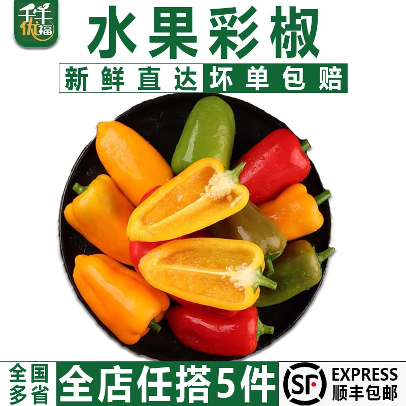 千牛优福水果彩椒500g 新鲜灯笼迷你彩椒甜椒辣椒沙拉凉拌蔬菜