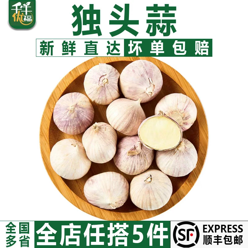 千牛优福紫皮独头蒜250g 大蒜头新鲜独蒜头 糖醋干蒜新蒜湿蒜食用