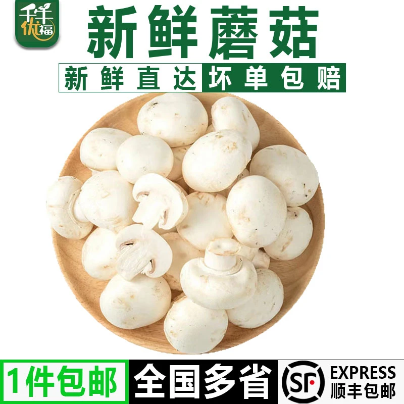 千牛优福白蘑菇250-2500g 新鲜食用菌菇 烧烤蘑菇 双孢菇煲汤蔬菜