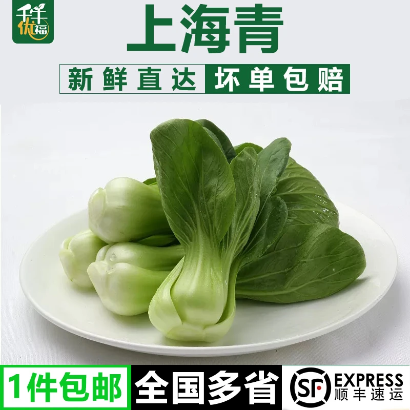 千牛优福上海青1-5斤 霜打小青菜太湖菜新鲜蔬菜农家自种顺丰包邮