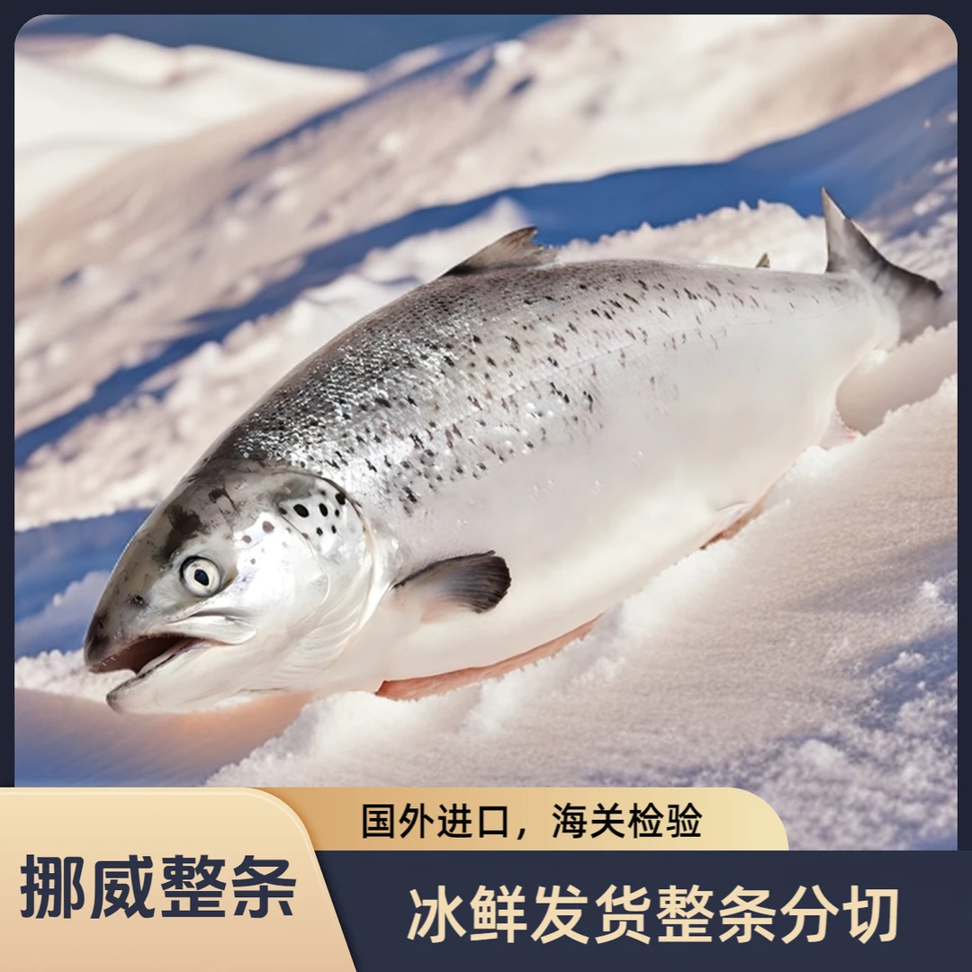 【称重改价】进口冰鲜挪威三文鱼