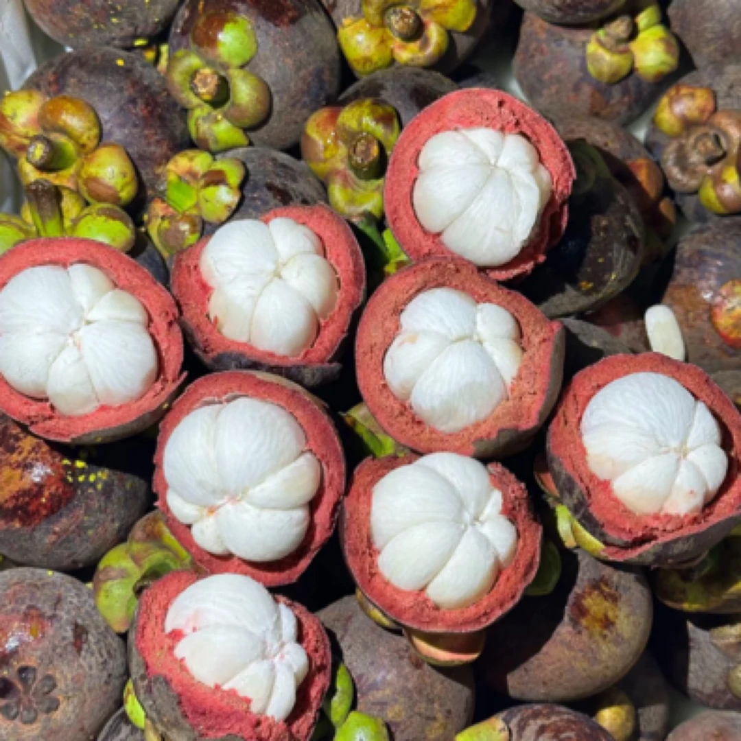 泰国老树麻竹3斤