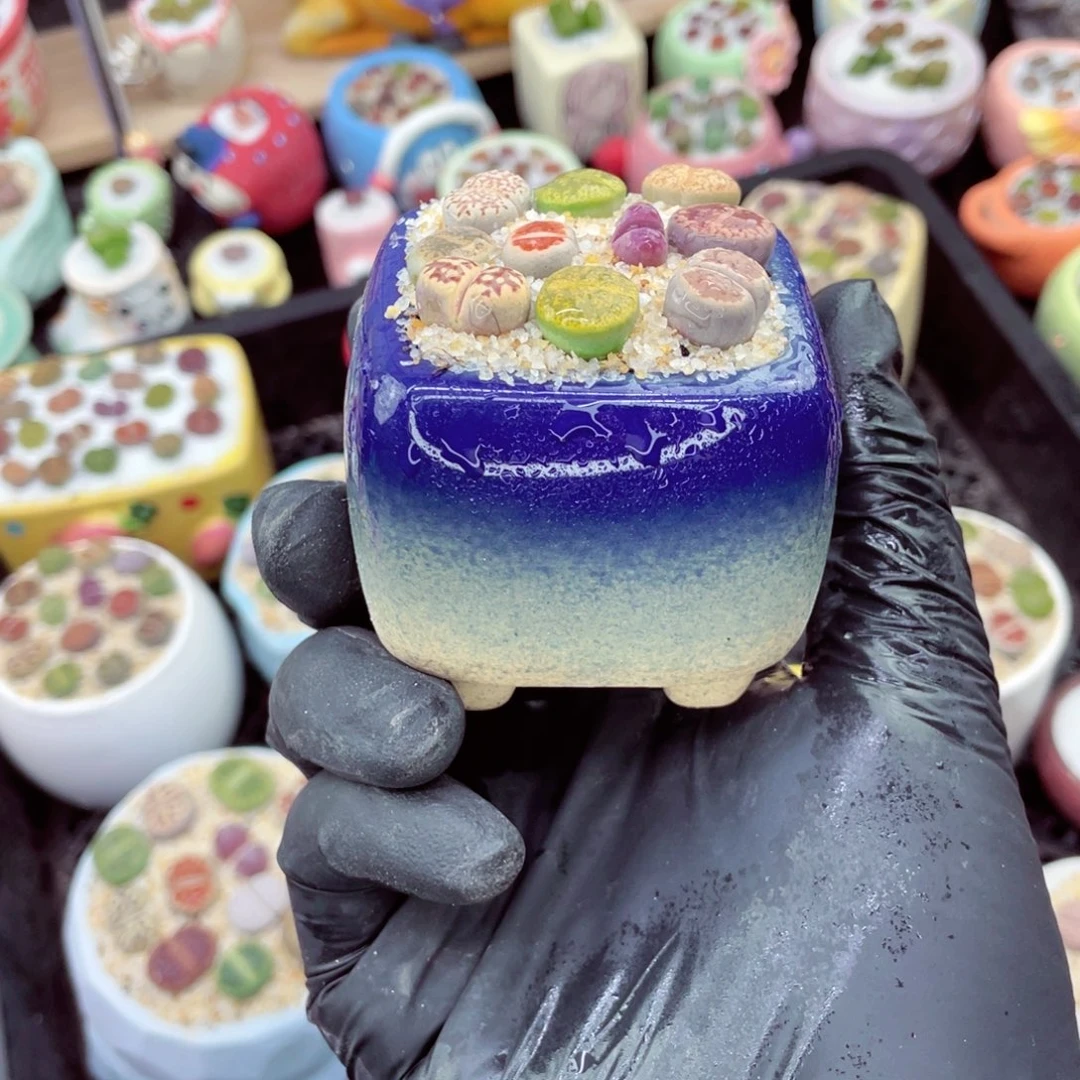 w9587--好看的彩色混合生石