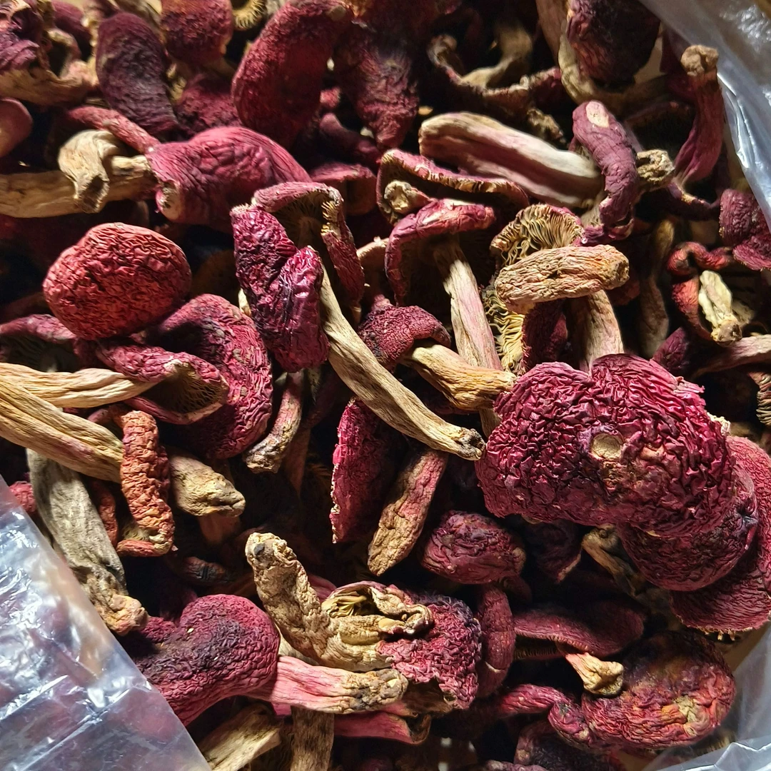 红菇 农家 山货 100g 包邮